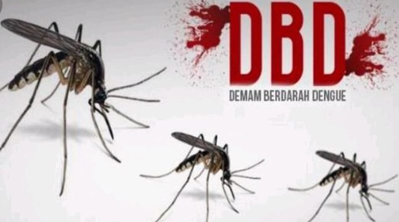 Demam Berdarah Dengue (DBD) Masih Jadi Ancaman Masyarakat Tulungagung, Meskipun Kasusnya Sudah Melandai